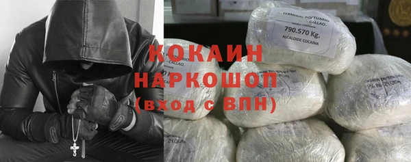 прущие грибы Покров