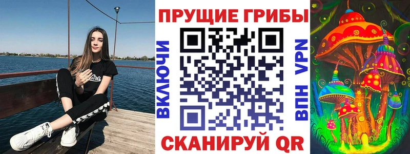 Галлюциногенные грибы Psilocybine cubensis  Бугуруслан 
